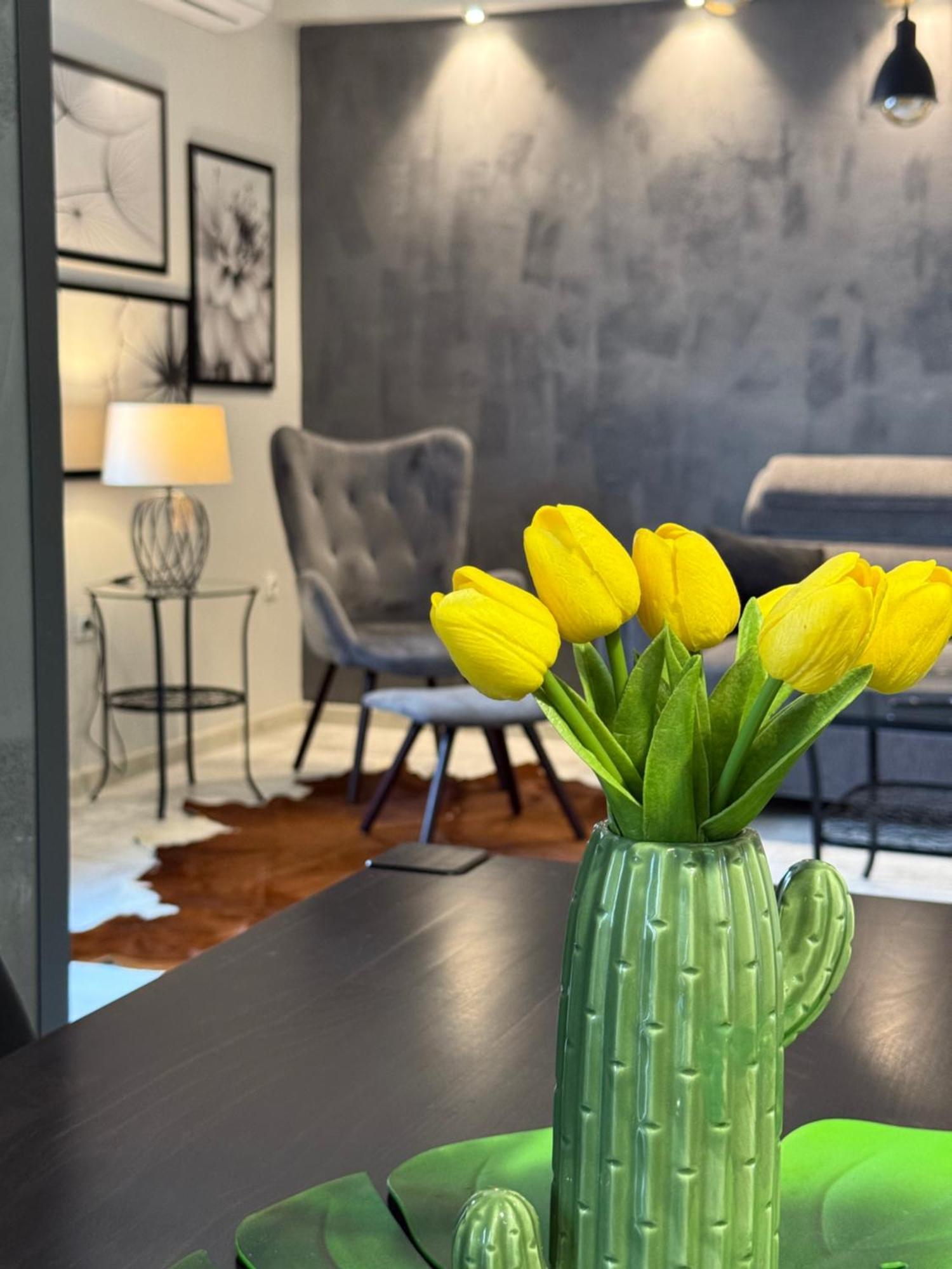 Apartman Pannonica Pin 0-24H สลาวอนสกีบรอด ภายนอก รูปภาพ